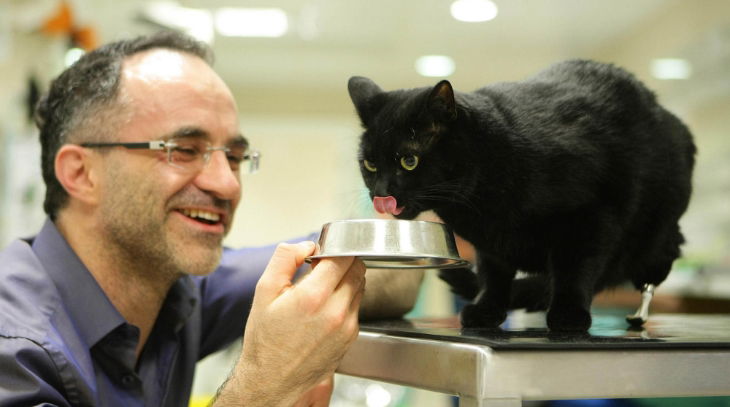 The Supervet: Noel Fitzpatrick